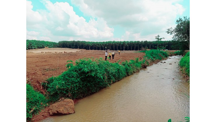 bán gấp đất trồng cây lâu năm 1000m2, giá 680tr, gần becamex Bình Phước